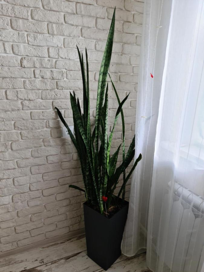 Prime Apartments Grodno Esterno foto